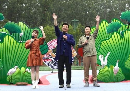 安然最新爆料新闻视频下载,深度解析事件背后真相